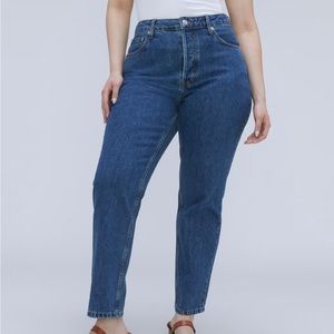 NWT Everlane Curvy 90s Cheeky Jean sz. 30